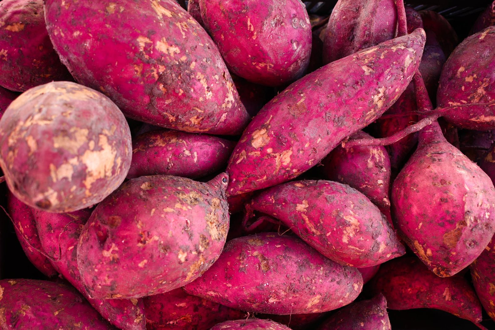 Produtos Alimentares