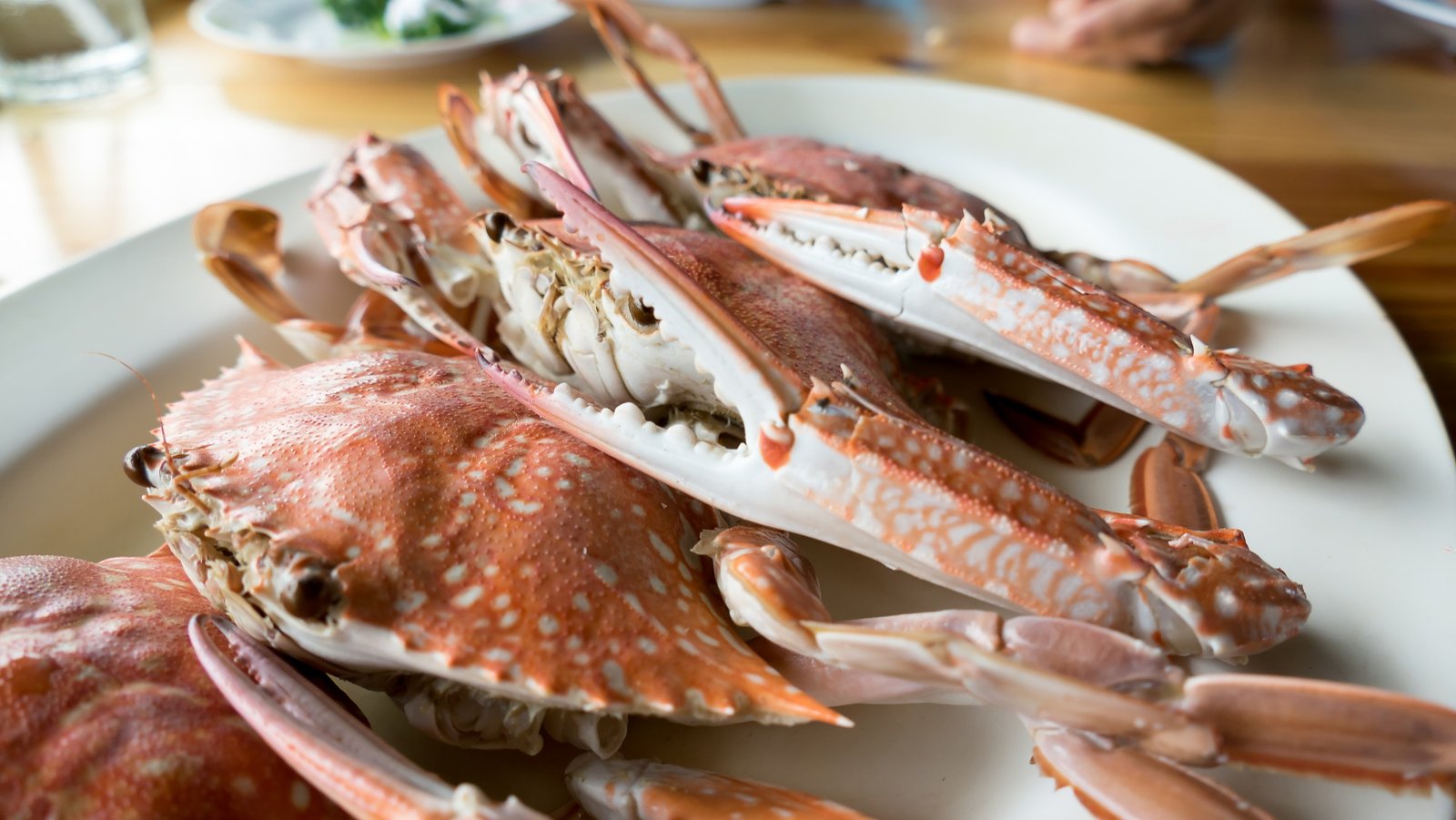 Caranguejo fresco  1kg
