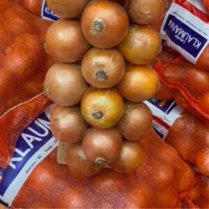 Cebola