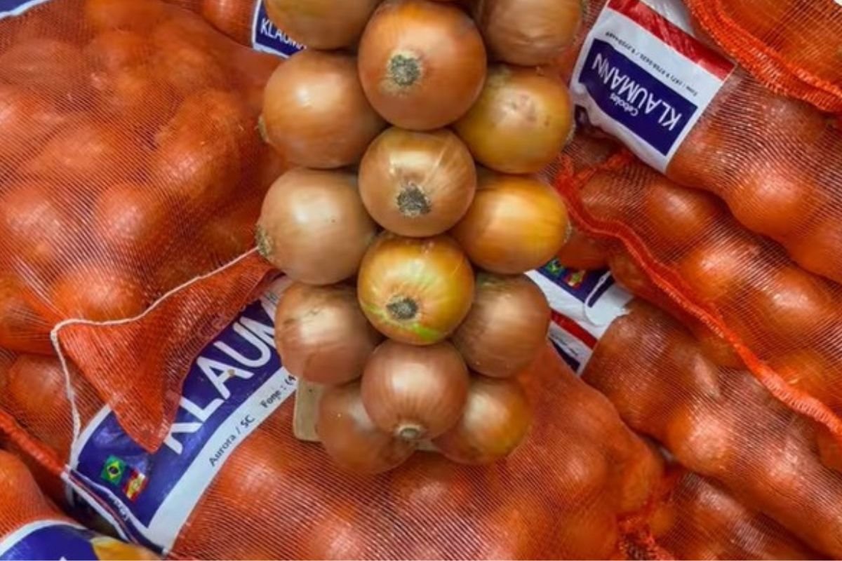 Cebola