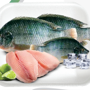 Peixe Fresco 1kg